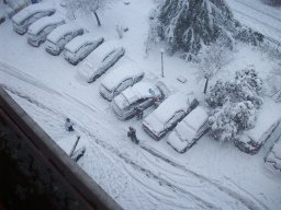 8-Neve-Frosinone-2012