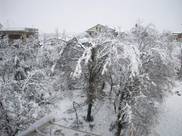 11-Neve-Frosinone-2012
