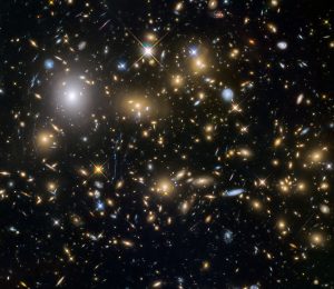 Massive Cluster Survey