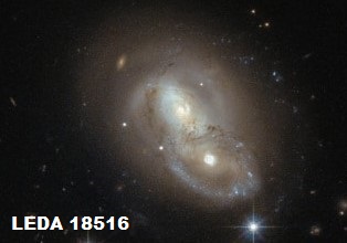 leda-18516