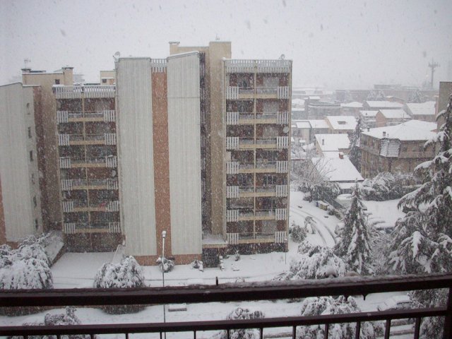 5-Neve-Frosinone-2012