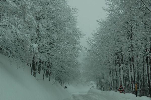 Foto di Campocatino